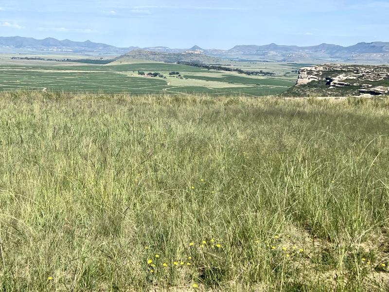 0 Bedroom Property for Sale in Fouriesburg Free State